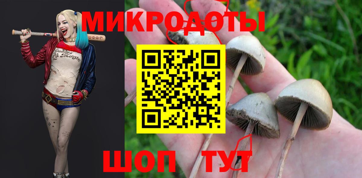Кандалакша  Галлюциногенные грибы прущие грибы  Вход с VPN 